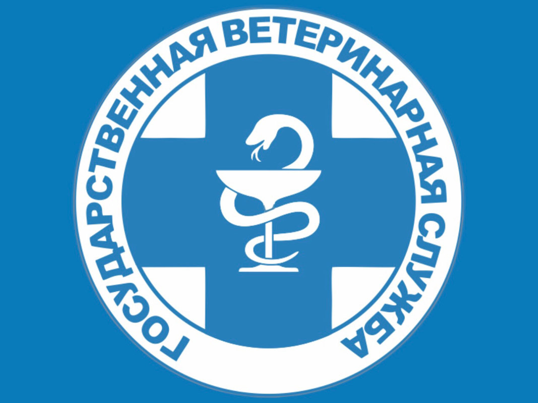 Выездной прием ветеринарных специалистов.