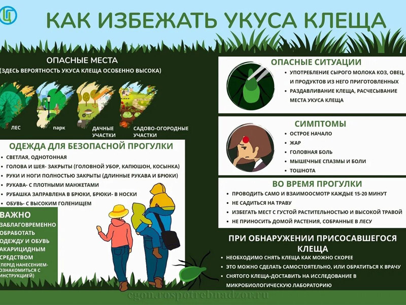 Как избежать укуса клеща.