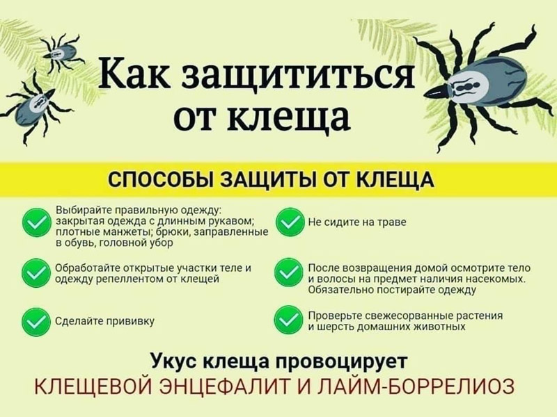 Как защититься от клеща.