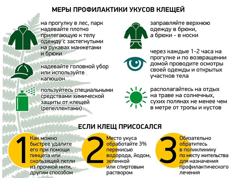 Меры профилактики укусов клещей.