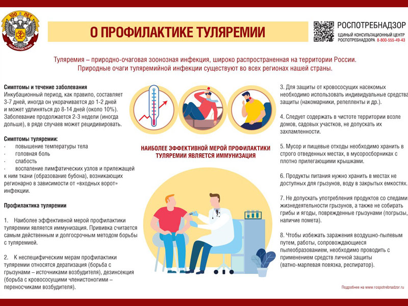 О профилактике туляремии.