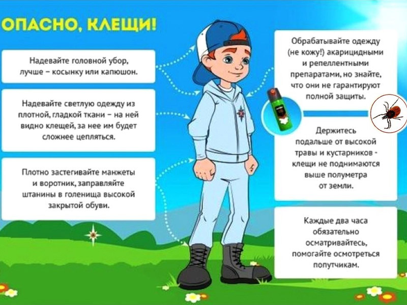 Осторожно клещи.