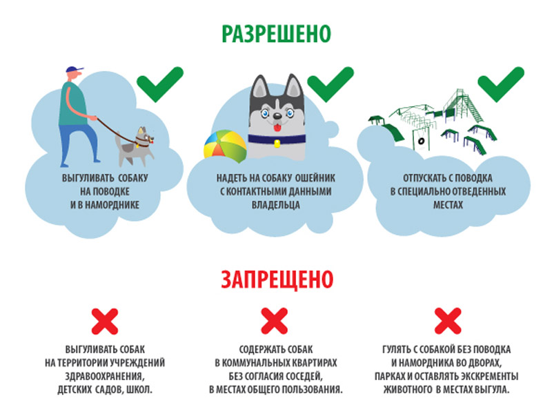 Правила содержания и выгула собак.