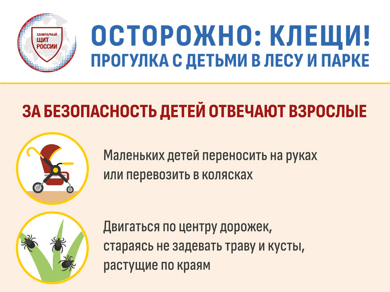 Осторожно: клещи! Прогулка с детьми в лесу и парке.