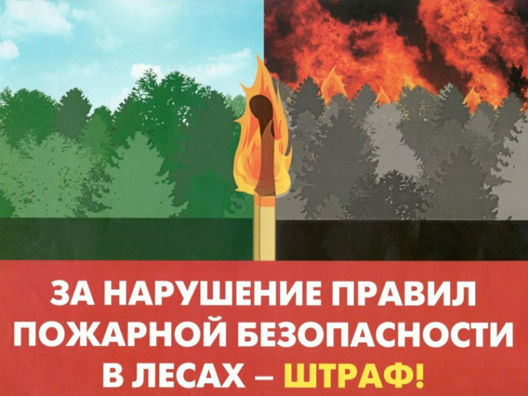 Ответственность за нарушение правил пожарной безопасности в лесах. Ответственность за нарушение правил пожарной безопасности в лесах.