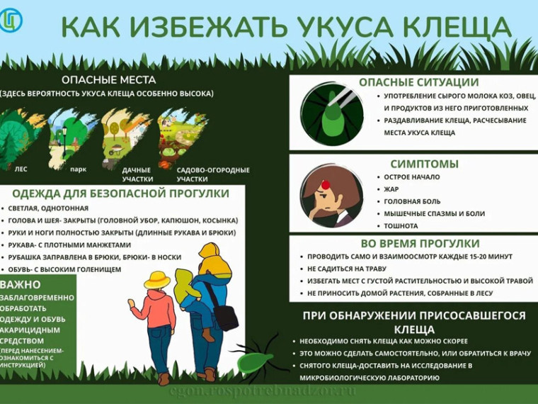 Как избежать укуса клеща. Как избежать укуса клеща.