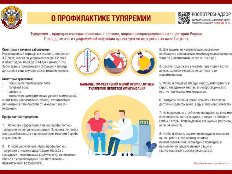О профилактике туляремии. О профилактике туляремии.