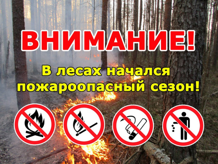 Правила безопасности в весенний пожароопасный период. Правила безопасности в весенний пожароопасный период.