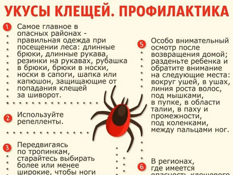 Укусы клещей. Профилактика. Укусы клещей. Профилактика.